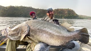 Berliner Angler fängt gigantischen Barsch [upl. by Thrift553]