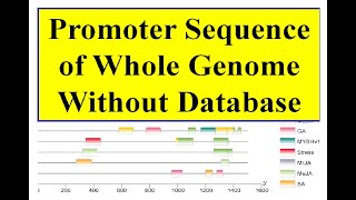 Promoter region file of whole genome [upl. by Eidissac]