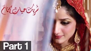 Shareek e Hayyat kay Naam Part 1  ATV [upl. by Chow]