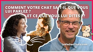 COMMENT VOTRE CHAT SAITIL QUE VOUS LUI PARLEZ ET CE QUE VOUS LUI DITES [upl. by Eceirtal]