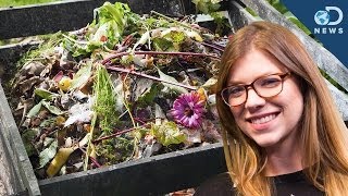 How To Start Your Own Compost [upl. by Ailedo]