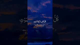 عبدالرحمنمسعد islamicstatus quranrecitation [upl. by Riker]