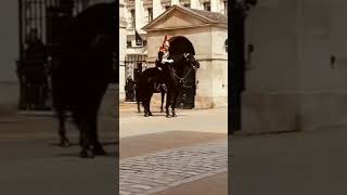 dismounting royal horse guard marvel grace ytshorts love like subscribe shareshortvideo [upl. by Enirok275]