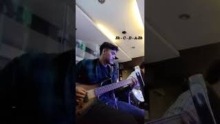 GMS  Nyalakan ApiMu Bass Cover music cover bass [upl. by Ciccia]