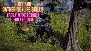 Lost Ark  How to get Life SkillsGathering Guide [upl. by Maurits173]