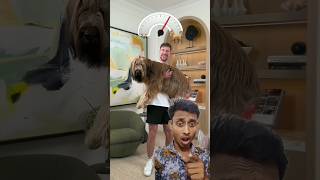 Big dog 🐕 dog challenge doglover goldendoodle mrbeast mrbeastshorts mr mrbeastyt [upl. by Rosel125]