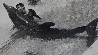 Dealing with a dolphins urges  The Girl Who Talked to Dolphins Preview  BBC Four [upl. by Salangia]