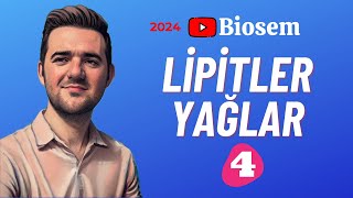 Lipitler Soru Çözümü  yks2024 Biyoloji Soru Çözümü  9sınıf Soru Çözümü [upl. by Raasch]