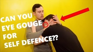 EYE GOUGE  Self Defence Myths BUSTED [upl. by Sneed6]