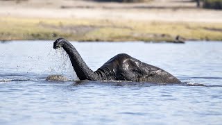 10 Times The Loch Ness Monster Was Spotted [upl. by Amliw]