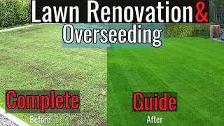 Fall Renovation amp Overseeding Simple Step by Step Guide 2023 [upl. by Fraser138]