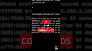 12 MustKnow Linux Networking Commandslinuxcommands linux cybersecurity [upl. by Alletniuq]