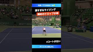 ライジングで崩し ドロップで仕留める【兵庫ノアCH20241R】ダニエル太郎JPN shorts テニス tennis [upl. by Alvira]