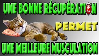 RECUPERATION MUSCULAIRE APRES UNE SEANCE DE MUSCULATION BODY REBOOT [upl. by Lubin]