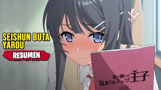 Seishun Buta Yarou wa Bunny Girl Senpai no Yume wo Minai  RESUMEN en 13 Minutos [upl. by Allanson]