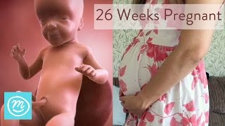 26 Weeks Pregnant What You Need To Know  Channel Mum [upl. by Donia268]