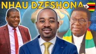 America Yozvipira Kubatsira Zimbabwe MaWar Vet Orwisana Panyaya yeED2030 [upl. by Liuka482]