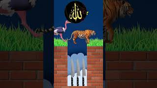 Mora Jodi Dana Wala  Moner Ghore ❤🌙 Islamic video 🕋 VFX 💯 shorts 😍 [upl. by Fleda]