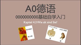 德语A0 德语零基础入门自学 Kapitel 43 Wie alt sind Sie 数字20100 [upl. by Adniroc]