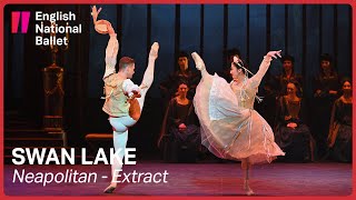 Swan Lake Neapolitan extract  English National Ballet [upl. by Brawner368]