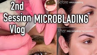 Getting My Eyebrows Microbladed  Before and After Results 2nd Session [upl. by Bathilda]