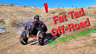 Fat Tad OffRoad with Tilly the Chihuahua [upl. by Aoh]