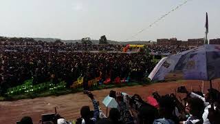 Mekelle University Graduation 2019 [upl. by Anayit]