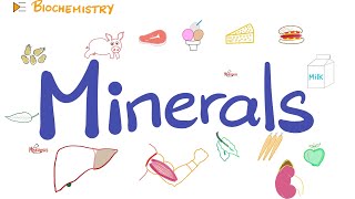 Your Body Needs Minerals Trace Elements  Diet and Nutrition [upl. by Jenifer]