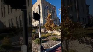 Unusual crosswalk signal at 24th Street near I480 at Creighton University Who else has seen this [upl. by Zetta802]