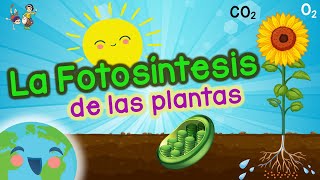 La Fotosintesis de las Plantas La Fotosintesis es  Vídeos Educativos para Niños [upl. by Essyla]