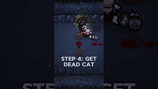 Troll Tutorial on The Binding Of Isaac [upl. by Tocs334]