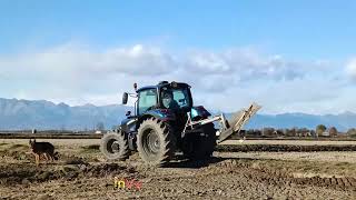 LANDINI 6135H LAVORAZIONE ARGINI [upl. by Elolcin]