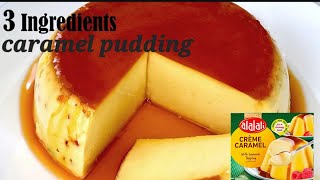 3 ingredients  Creme Caramel pudding  at home with caramel mix VASnatureAndCraft cooking [upl. by Cone]