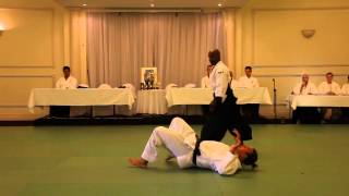 Excellent Aikido Demonstration [upl. by Adiaz743]