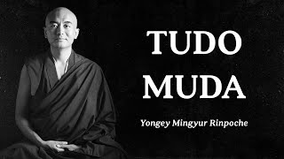 Yongey Mingyur Rinpoche  Tudo Muda [upl. by Carnahan]