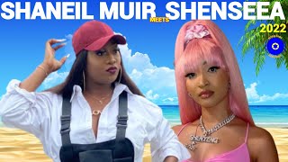 SHANEIL MUIR  SHENSEEA  DANCEHALL MIX 2022 ROMIE FAME [upl. by Hsitirb591]