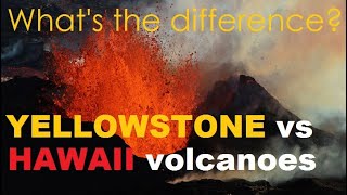 YELLOWSTONE versus HAWAII VOLCANOES whats the difference [upl. by Korman310]