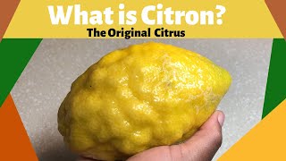 What is Citron The Original Citrus [upl. by Berger]