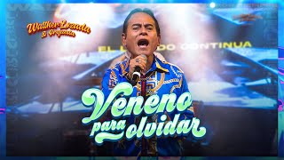 Walther Lozada y Orquesta  Veneno Para Olvidar [upl. by Jez]