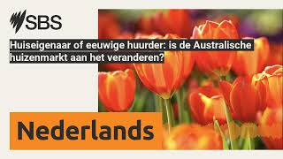 Huiseigenaar of eeuwige huurder is de Australische huizenmarkt aan het veranderen  SBS Dutch [upl. by Secilu]