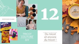 VLOG 12  Du tricot et encore du tricot [upl. by Tyrrell]