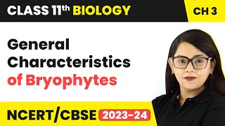 General Characteristics of Bryophytes  Plant Kingdom  Class 11 Biology Chapter 3  NCERTCBSE [upl. by Ardnossac]