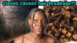 “Cloves broke off my hair” HOW TO PROPERLY USE CLOVES FOR FAST HAIR GROWTH amp prevent hair breakage [upl. by Frolick13]