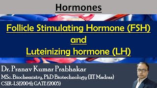 Gonadotropins Follicle Stimulating Hormone FSH and Luteinizing hormone LH [upl. by Eenert613]