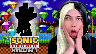 Sonic The Hedgehog X Minecraft Unlocking A Character [upl. by Ahtebbat]