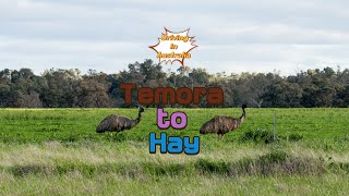 Driving in Australia From Temora to Hay NSW  4K [upl. by Gemoets]