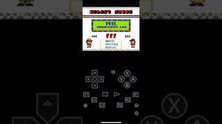 How To Get NES Swapped Duty Cycles In RetroArch iOS [upl. by Ateinotna]