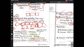 Introduction to Cestodes [upl. by Naras303]