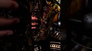 Ishimori Woodstone ALTO New Vintage  Phet Sax [upl. by Drofnil441]