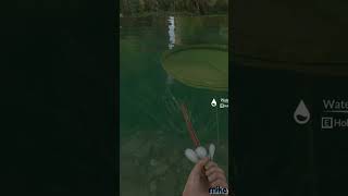 One More Fish to Make My Day greenhell greenhellgameplay mikecasualgamer [upl. by Georglana]